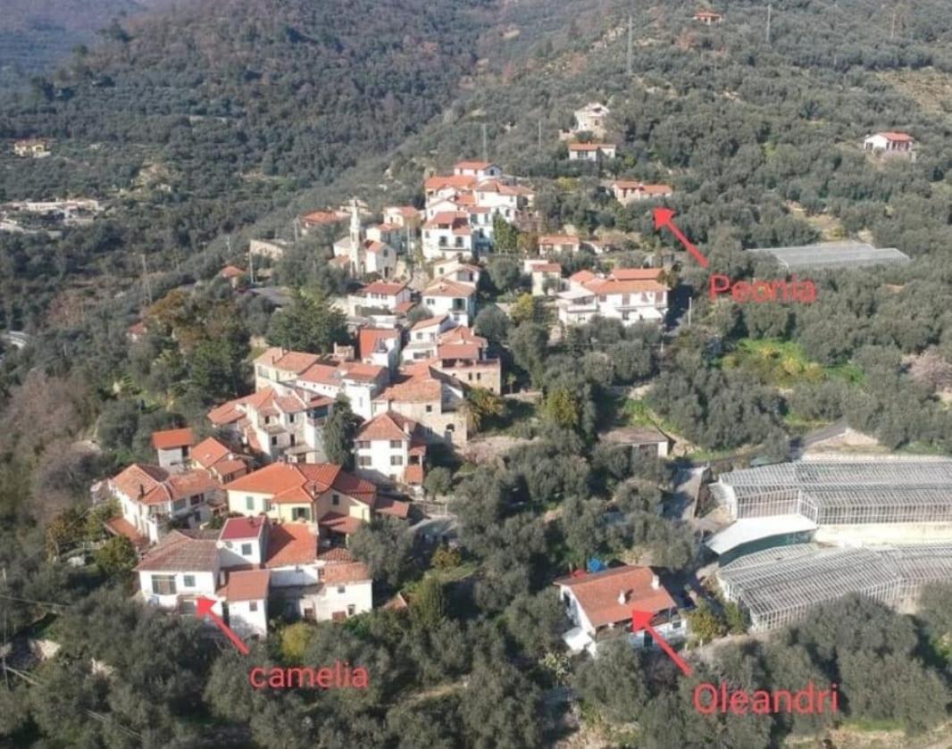 Uliveto Villa Diano San Pietro Esterno foto